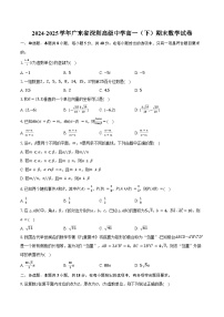 2024-2025学年广东省深圳高级中学高一（下）期末数学试卷（含解析）