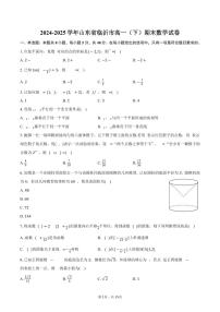 2024-2025学年山东省临沂市高一（下）期末数学试卷（含解析）