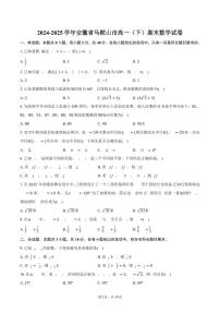 2024-2025学年安徽省马鞍山市高一(下)期末数学试卷(含解析)