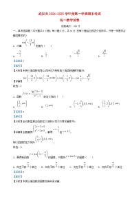 湖北省武汉市2024_2025学年高一数学上学期期末考试试卷含解析