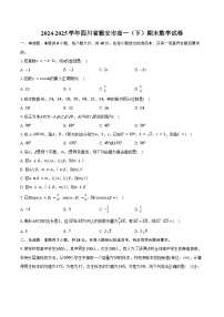 2024-2025学年四川省雅安市高一（下）期末数学试卷（含解析）