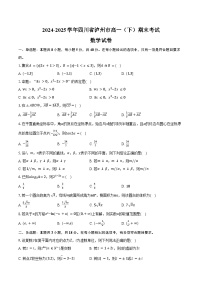 2024-2025学年四川省泸州市高一（下）期末数学试卷（含解析）