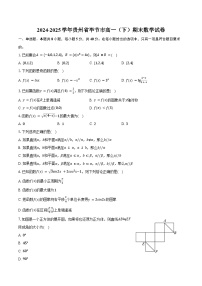 2024-2025学年贵州省毕节市高一（下）期末数学试卷（含解析）