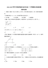 2024-2025学年甘肃省武威市凉州区高一下学期期末质量检测数学试卷（含解析）