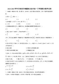 2024-2025学年甘肃省甘南藏族自治州高一下学期期末数学试卷(含解析)