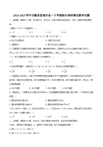 2024-2025学年安徽省宣城市高一下学期期末调研测试数学试题（含解析）