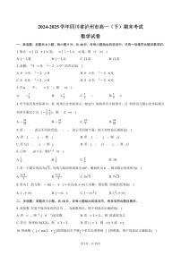 2024-2025学年四川省泸州市高一（下）期末数学试卷（含解析）