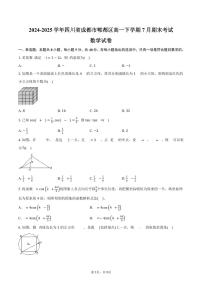 2024-2025学年四川省成都市郫都区高一下学期7月期末考试数学试卷（含答案）