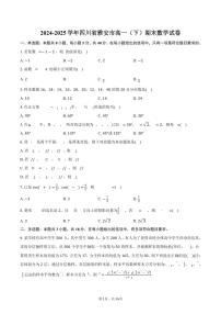 2024-2025学年四川省雅安市高一（下）期末数学试卷（含解析）