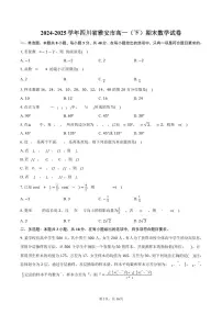 2024-2025学年四川省雅安市高一（下）期末数学试卷（含解析）