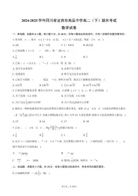 2024-2025学年四川省宜宾市高县中学高二（下）期末数学试卷（含答案）