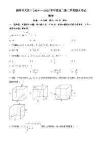 湖南省长沙市湖南师范大学附属中学2024-2025学年高二下学期期末考试数学试卷（Word版附答案）