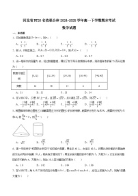 河北省NT20名校联合体2024-2025学年高一下学期期末考试数学试卷（Word版附解析）