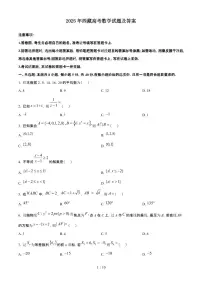2025年6月西藏普通高中学业水平选择性考试数学试题（原卷）含答案