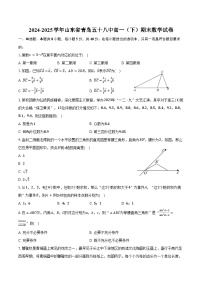 2024-2025学年山东省青岛五十八中高一（下）期末数学试卷（含解析）