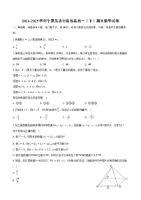 2024-2025学年宁夏吴忠市盐池县高一（下）期末数学试卷（含解析）
