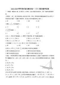 2024-2025学年贵州省安顺市高一(下)期末数学试卷(含解析)