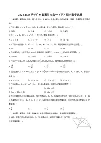 2024-2025学年广东省揭阳市高一（下）期末数学试卷（含解析）
