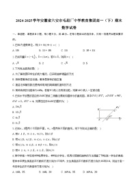 2024-2025学年安徽省六安市毛坦厂中学教育集团高一（下）期末数学试卷（含解析）