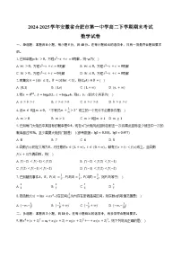 2024-2025学年安徽省合肥市第一中学高二下学期期末考试数学试卷（含答案）