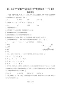 2024-2025学年安徽省六安市毛坦厂中学教育集团高一（下）期末数学试卷（含解析）
