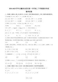 2024-2025学年安徽省合肥市第一中学高二下学期期末考试数学试卷（含解析）