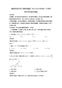 福建省漳州市乙丙级联盟校2024-2025学年高一下期中联考数学试卷（解析版）