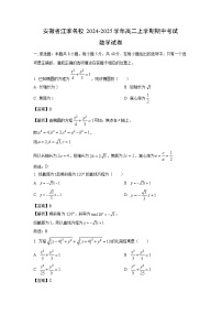 安徽省江淮名校2024-2025学年高二上学期期中考试数学试卷(解析版)