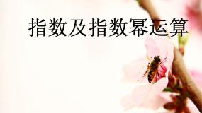 必修1实数指数幂及其运算教课课件ppt
