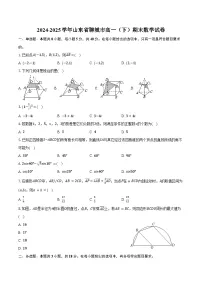 2024-2025学年山东省聊城市高一（下）期末数学试卷（含解析）