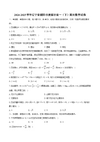 2024-2025学年辽宁省朝阳市凌源市高一（下）期末数学试卷（含答案）