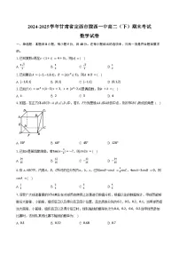 2024-2025学年甘肃省定西市陇西一中高二（下）期末数学试卷（含解析）