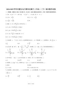 2024-2025学年内蒙古乌兰察布市集宁二中高二（下）期末数学试卷（含答案）