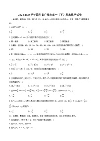 2024-2025学年四川省广元市高一（下）期末数学试卷（含答案）