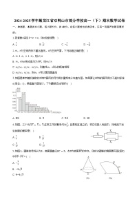 2024-2025学年黑龙江省双鸭山市部分学校高一（下）期末数学试卷（含答案）