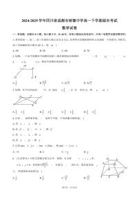 2024-2025学年四川省成都市树德中学高一下学期期末考试数学试卷（含解析）