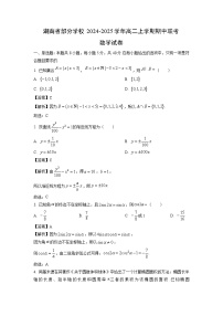 湖南省部分学校2024-2025学年高二上学期期中联考数学试卷（解析版）