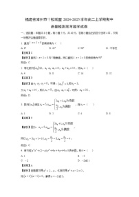福建省漳州市十校联盟2024-2025学年高二上学期期中质量检测联考数学试卷（解析版）