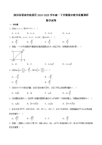 陕西省渭南市临渭区2024-2025学年高一下学期期末教学质量调研数学试卷含答案解析