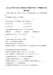 2024-2025学年上海市上海财经大学附属中学高一下学期期末考试数学试卷（含答案）