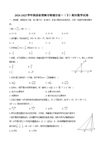 2024-2025学年陕西省渭南市韩城市高一（下）期末数学试卷（含解析）