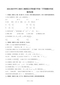 2024-2025学年上海市上海财经大学附属中学高一下学期期末考试数学试卷（含解析）