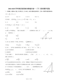 2024-2025学年陕西省渭南市韩城市高一（下）期末数学试卷（含答案）