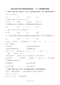 2024-2025学年甘肃省甘南州高一(下)期末数学试卷(含答案)