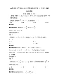 山东省德州市2024-2025学年高二上学期11月期中考试数学试卷（解析版）