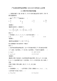 广东省珠海市金砖四校2024-2025学年高二上学期11月期中联考数学试卷（解析版）