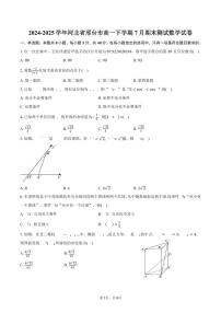 数学-河北省邢台市2024-2025学年高一下学期7月期末测试试题和答案