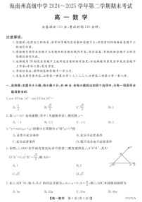 青海省海南藏族自治州高级中学2024-2025学年高一下学期期末考试数学试卷