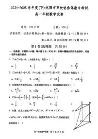 辽宁省沈阳市五校协作体2024-2025学年高一下学期期末考试数学试题（PDF版附解析）