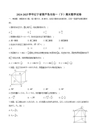 2024-2025学年辽宁省葫芦岛市高一（下）期末数学试卷（含解析）